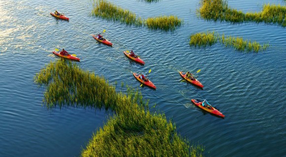 group of red kayaks in the waterways of shelter cove harbour