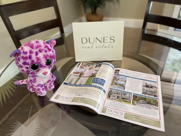 Purple the cat looking at a brochure at the Dunes Real Estate Office