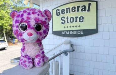 Purple the stuffed cat in front of the General Store logo