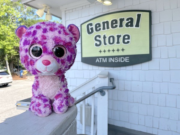 Purple the stuffed cat in front of the General Store logo