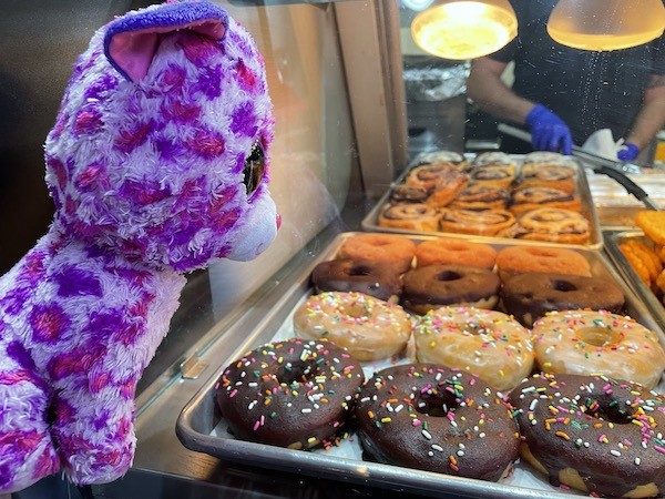 Purple the cat overlooking donuts and cinnamon rolls at the General Store