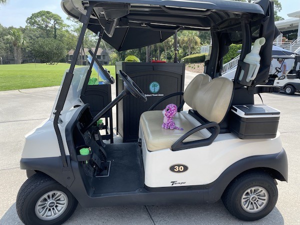 Purple the cat on a golf cart