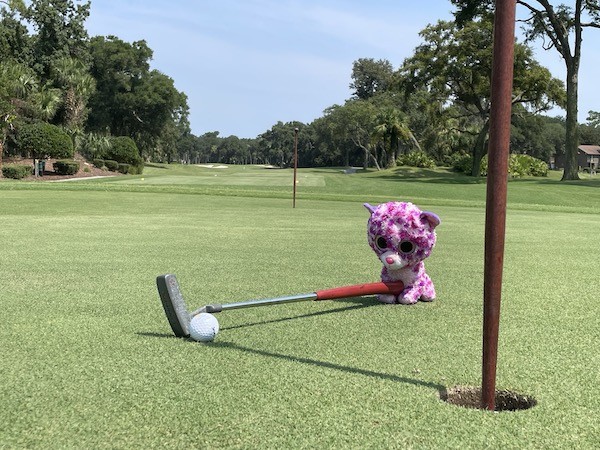 Purple the cat swinging a golf club on the Robert Trent Jones Golf Course