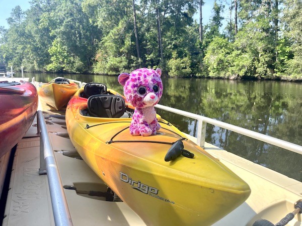 Purple the cat on top of a yellow kayak in the Palmetto Dunes Lagoopn