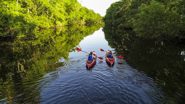 two red kayaks in the middle of the Palmetto Dunes Lagoon with green trees on the side