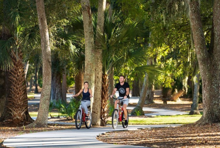 woman and man on red bikes on bike path under palm trees