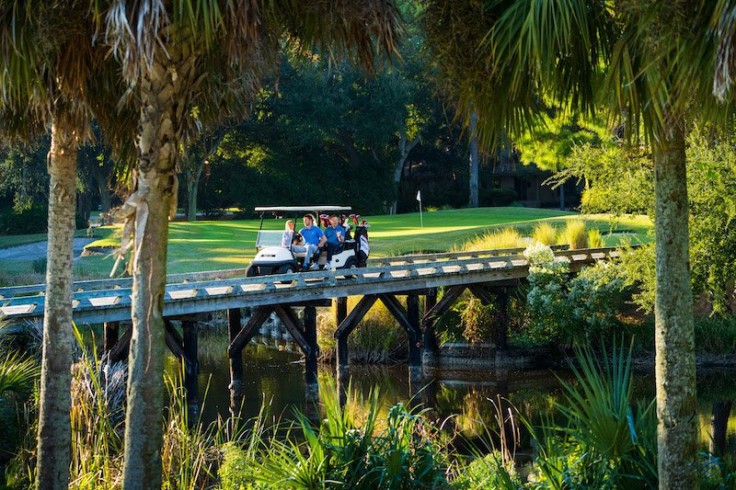 golf cart over bridge between trees on golf course