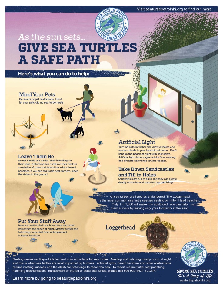 sea turtle safety pdf