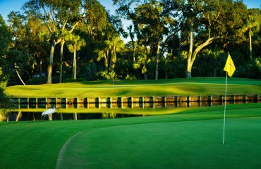 Arthur Hills Golf Course Hole with lagoon, bird and trees in background.